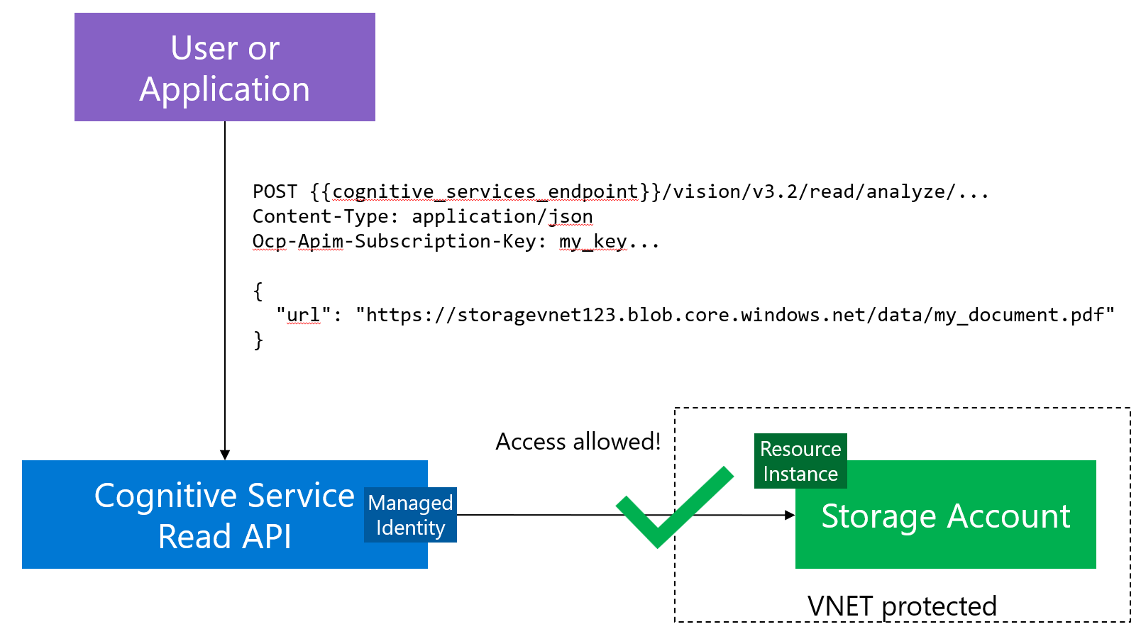 Read API can access the storage account using its Managed Identity
